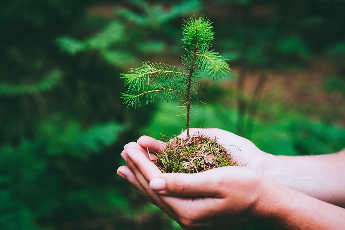 Green Economy Youth Activation Program - cleanbuild
