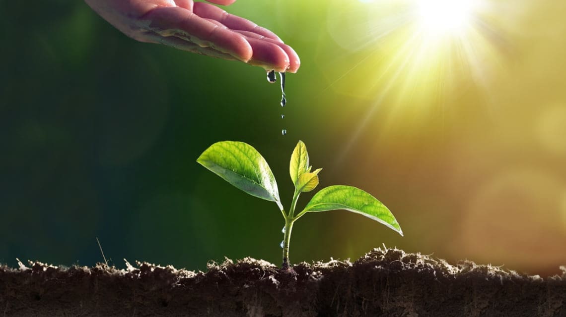 climate change - cleanbuild