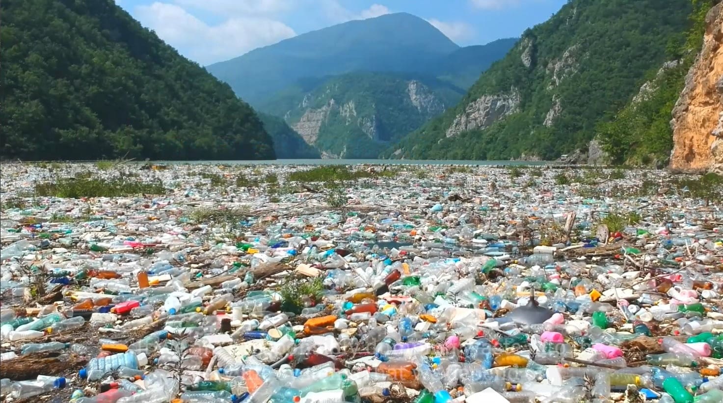 plastic pollution