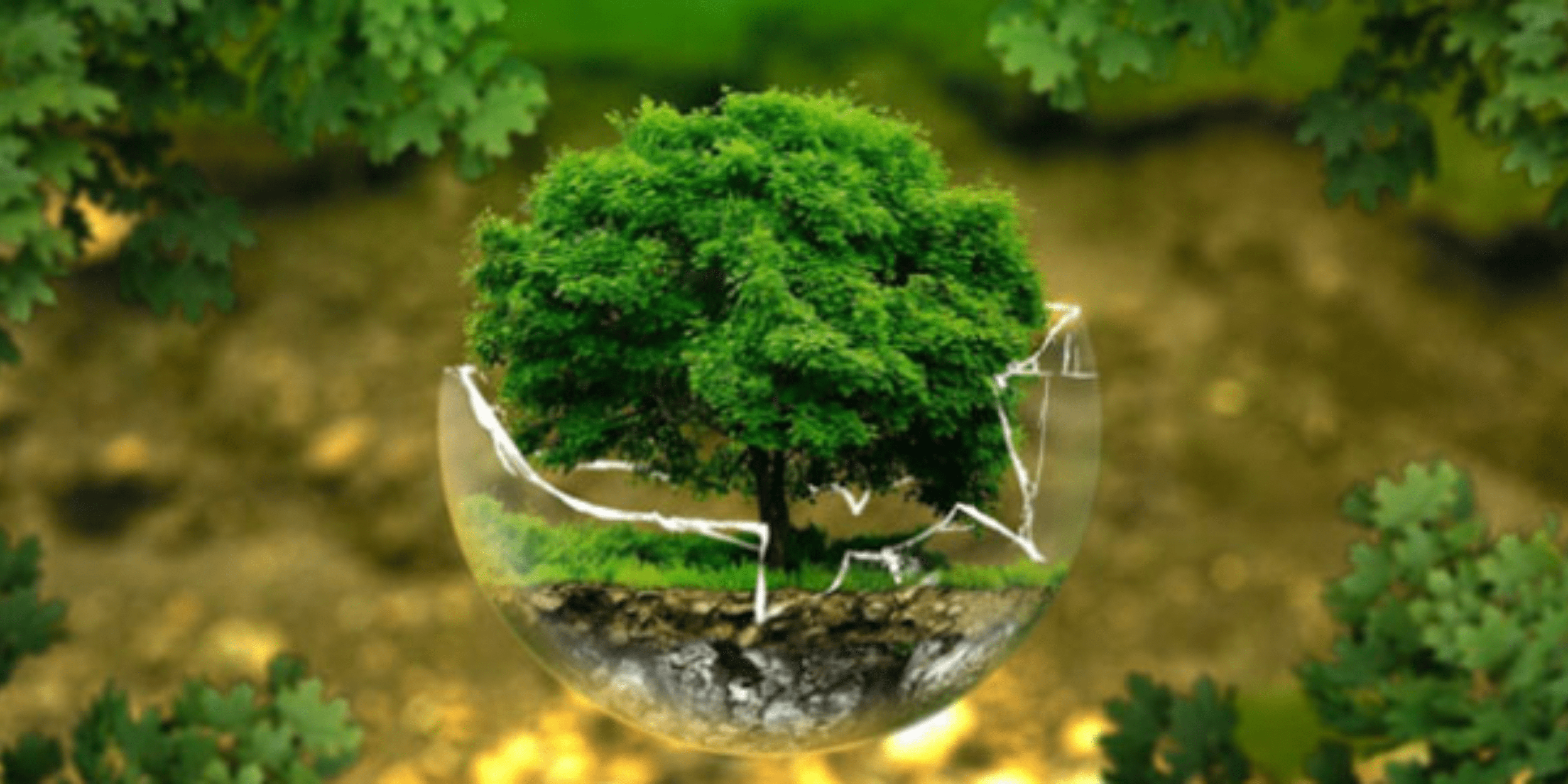 environmental problems - climateaction