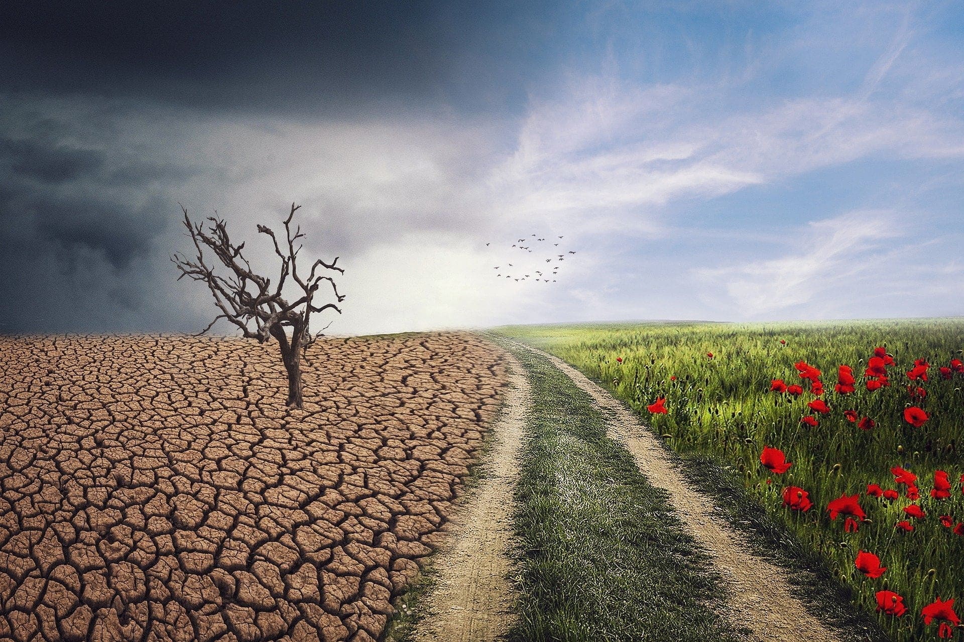 governments - climateaction