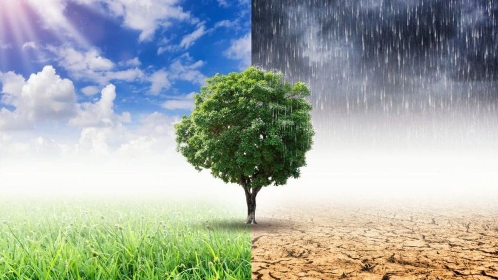 Exploratory Research Grant - climateaction