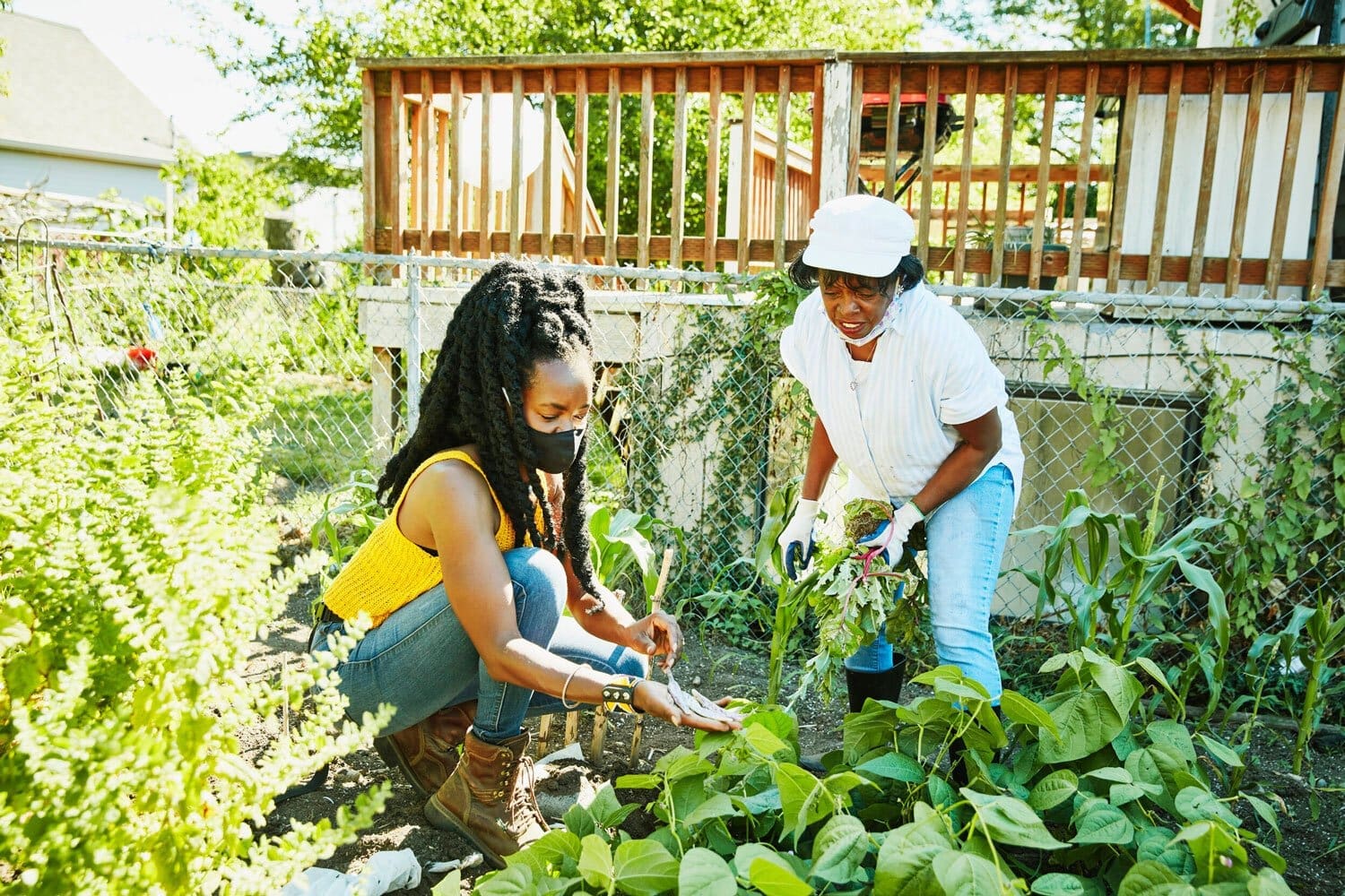 garden climateaction