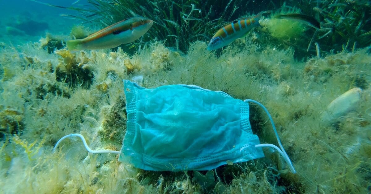 face masks - climateaction