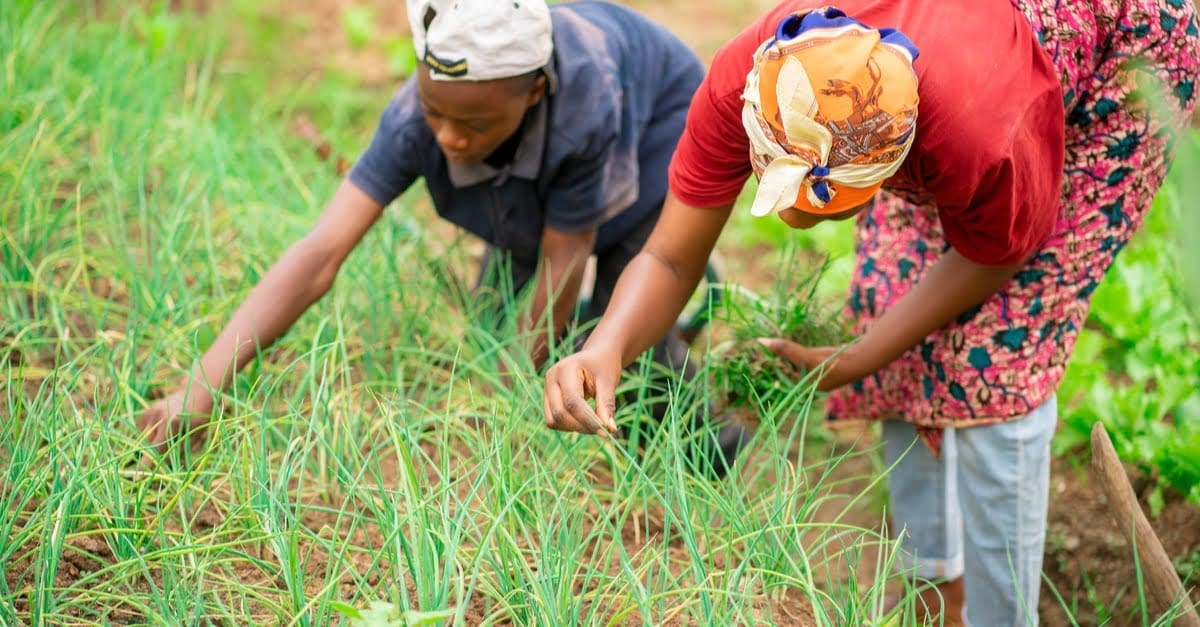 women - climateaction
