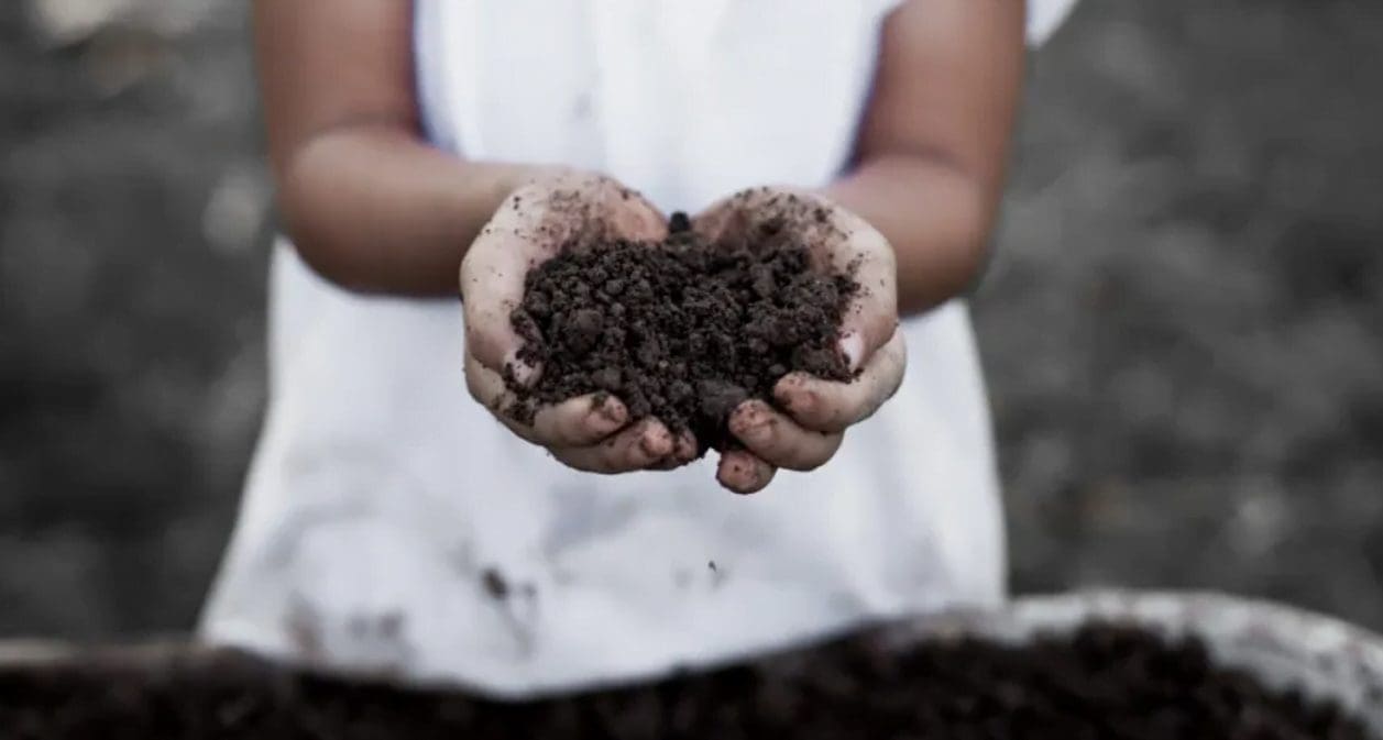 compost - climateaction