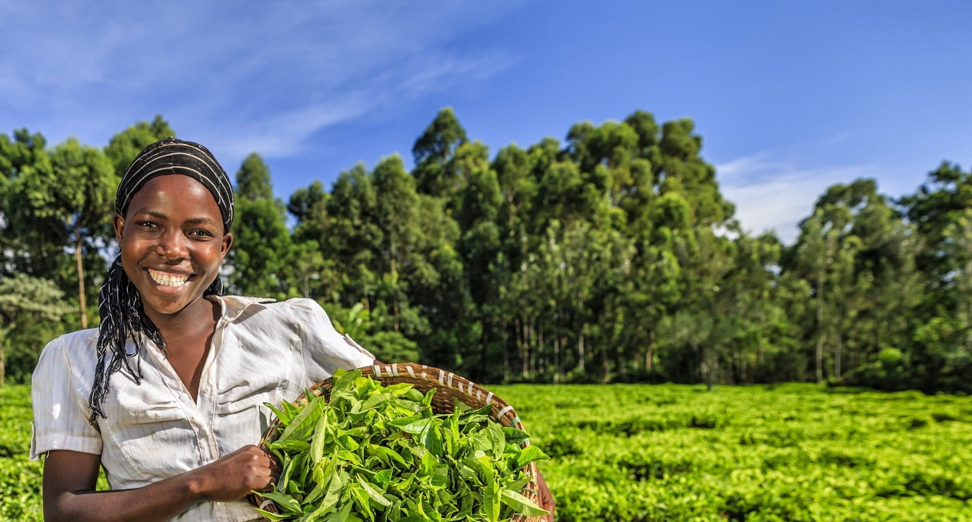 crop - climateaction