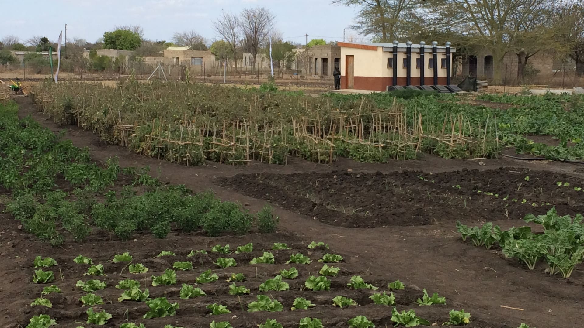 sustainable-garden