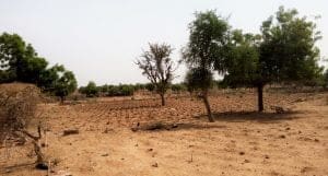 Climate change in Nigeria