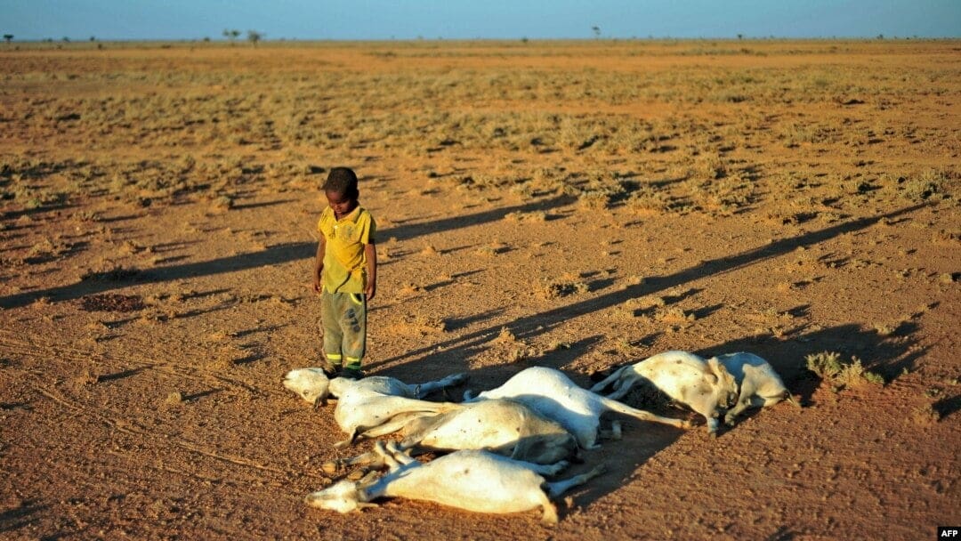 Devastating drought in Somalia