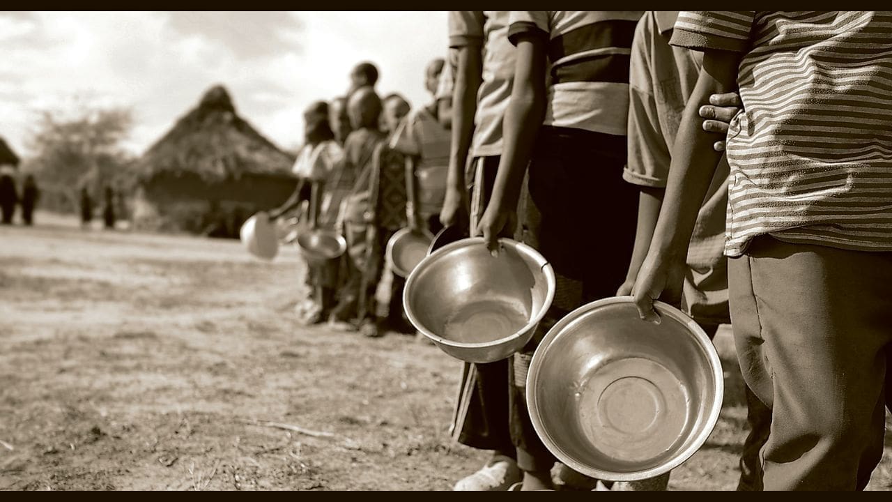 Government and NGOs