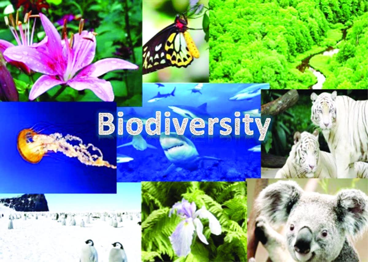 Africa's biodiversity