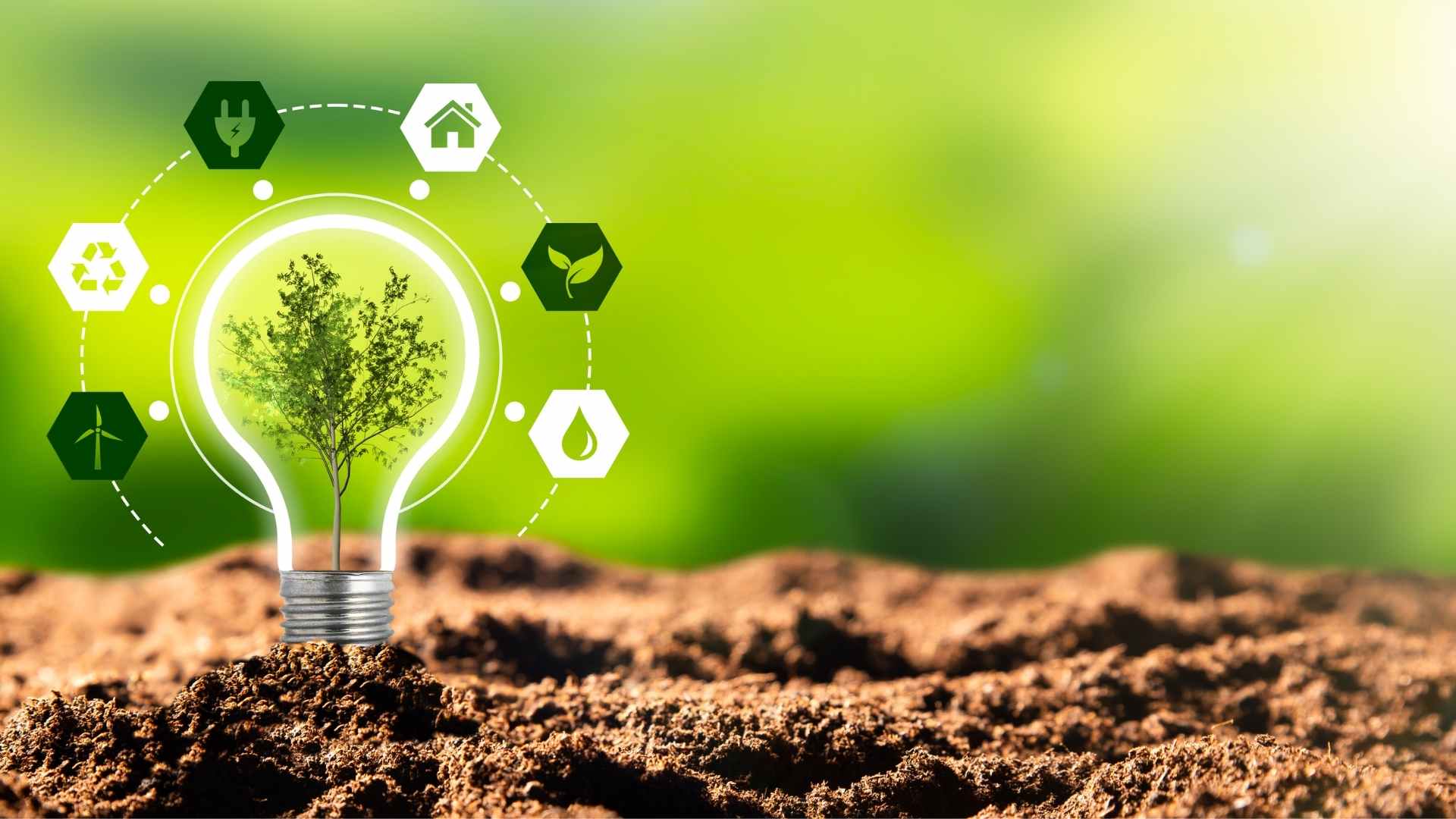 Innovative environmental business