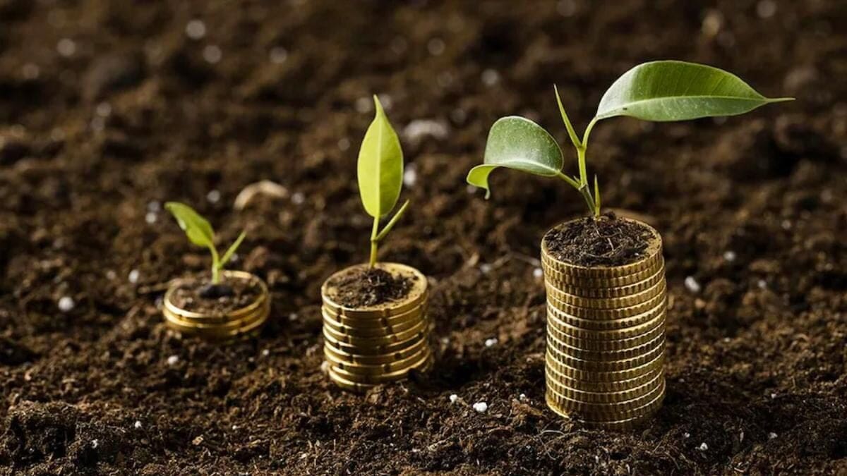 climate finance/africa