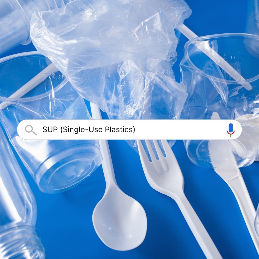 Lagos State’s Ban on Single-Use Plastics and Sachet Water: Impact on Pollution and Climate Change.