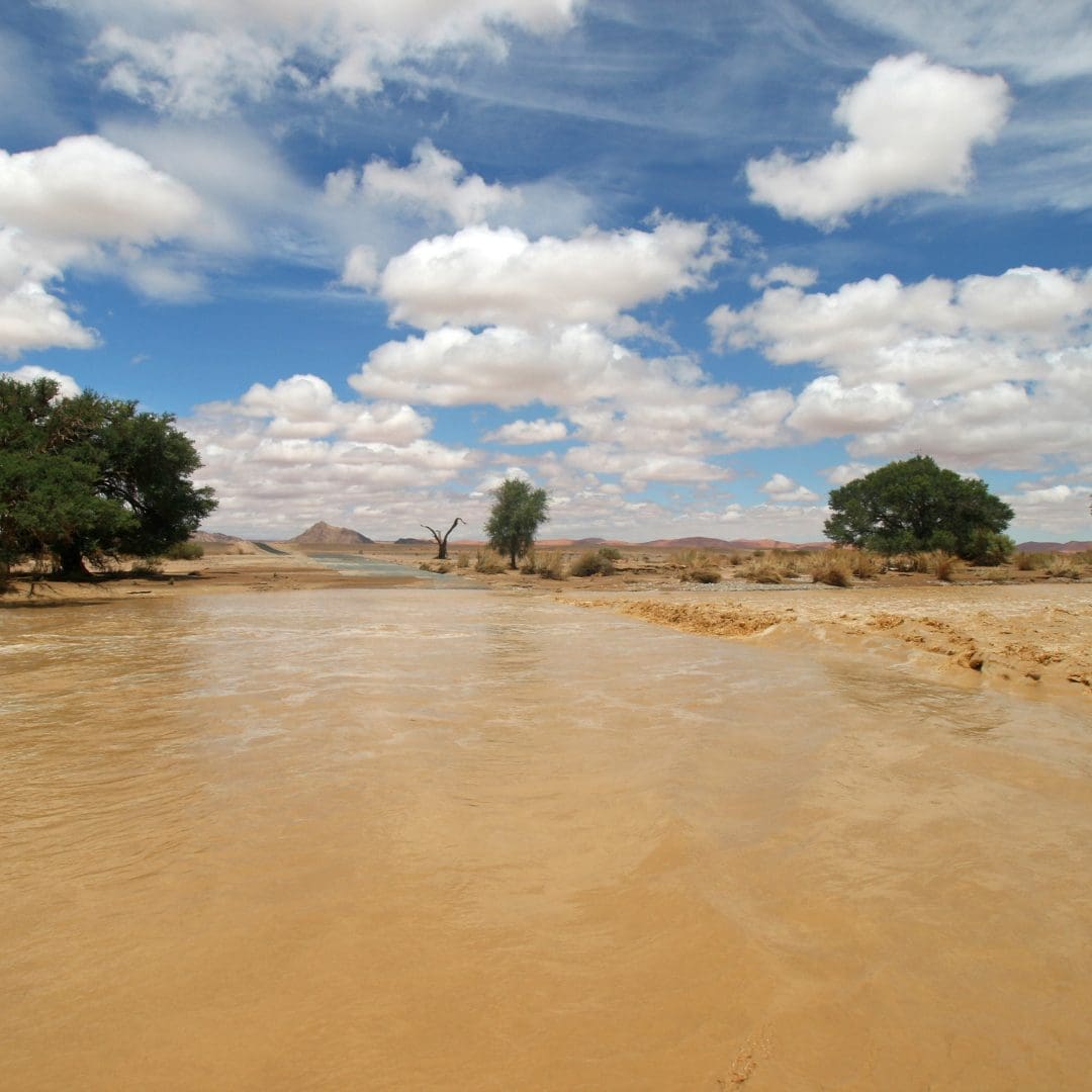 Unveiling the Intersection of Climate Change and Public Health in Africa—Emerging Risks and Implications.