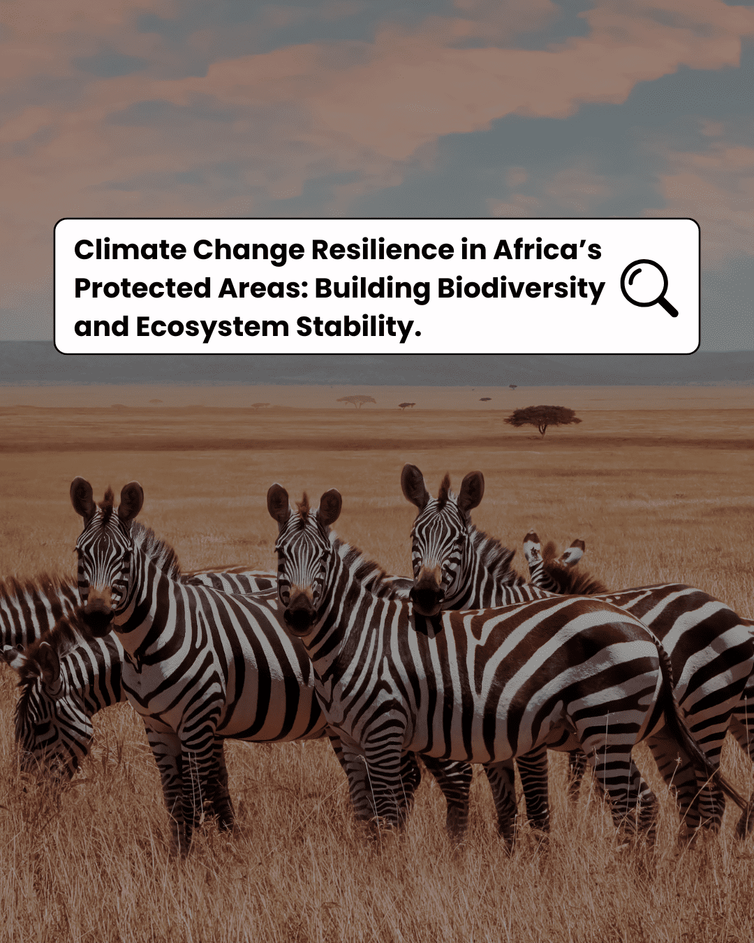 Climate Change Resilience in Africa’s Protected Areas: Building Biodiversity and Ecosystem Stability.