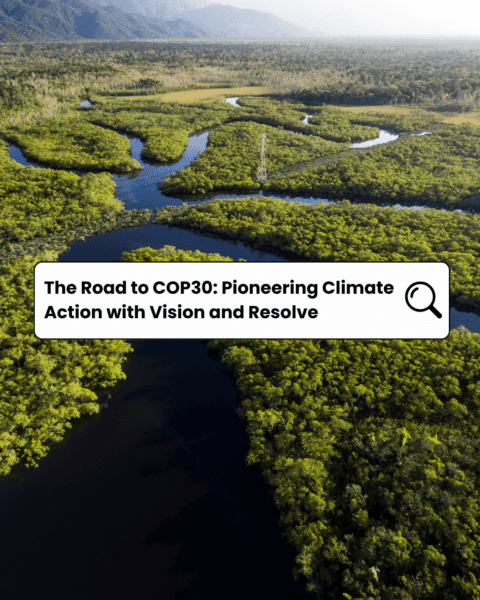 The Road To COP30: Pioneering Climate Action With Vision And Resolve.